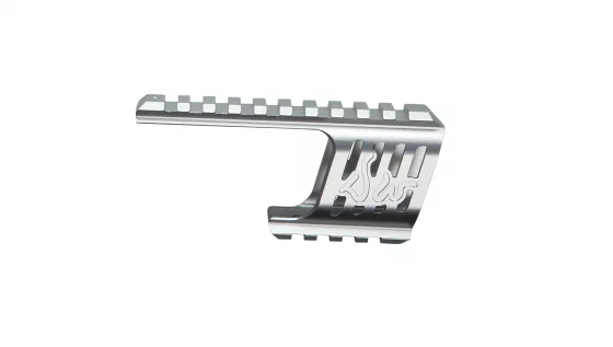 ASG Schiene für Dan Wesson 715 silber
