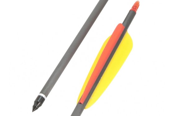 Carbonpfeil 30" Beast Hunter Classic