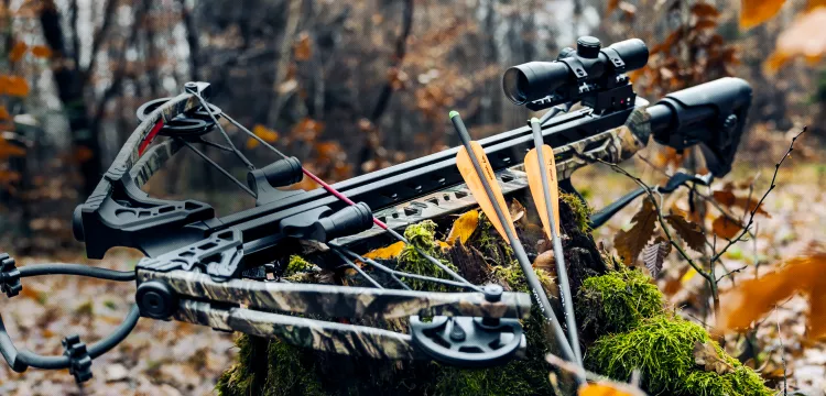 Banner Kuše