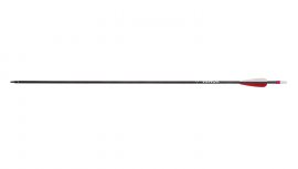 Pfeil Carbon Wraith 28"