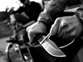 Messer Gerber StrongArm Coyote mit Kombiklinge
