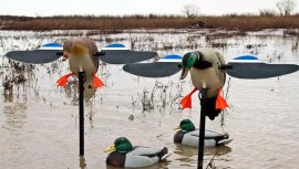 Balabán MOJO Mallard Hen - Wildente mit Fernbedienung 2