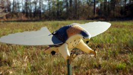 Balabán MOJO Hawk - Habicht