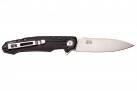 Klappmesser Ganzo Firebird FH21-BK 2