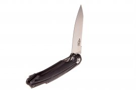 Klappmesser Ganzo Firebird FH21-BK 4