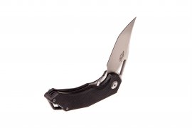 Klappmesser Ganzo Firebird FH61-BK