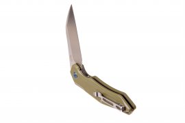 Klappmesser Ganzo Firebird FH31-GB 3