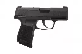 SIG365 (4).png