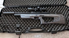 Bewertungen: Luftgewehr Taipan Veteran II 550mm 6,35mm Laminate Grey - 1