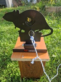 Bewertungen: Wettkampfscheibe Venox krysa - 1