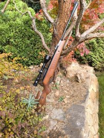 Bewertungen: Luftgewehr Cometa Fenix 400 Star 6,35mm - 27J - 1