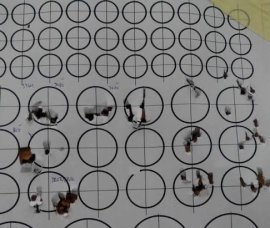 Bewertungen: Luftgewehr SPA Snowpeak M60 5,5mm - 1