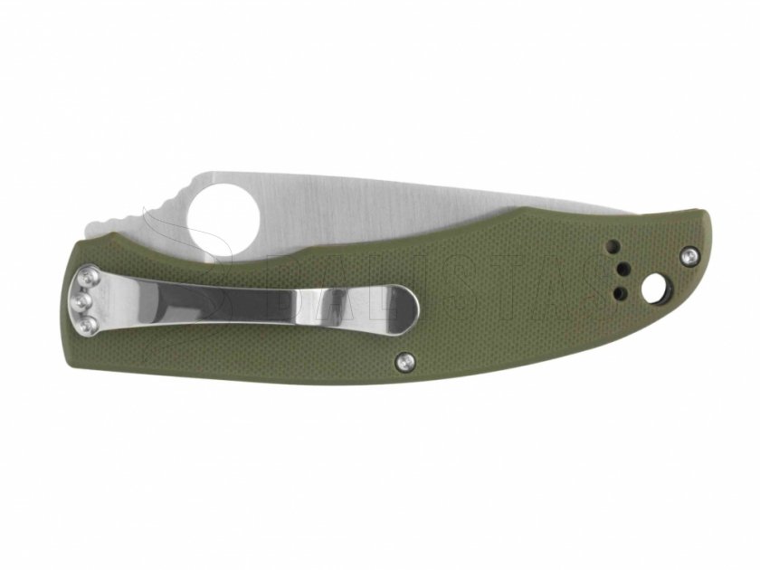 Klappmesser Ganzo G732-GR