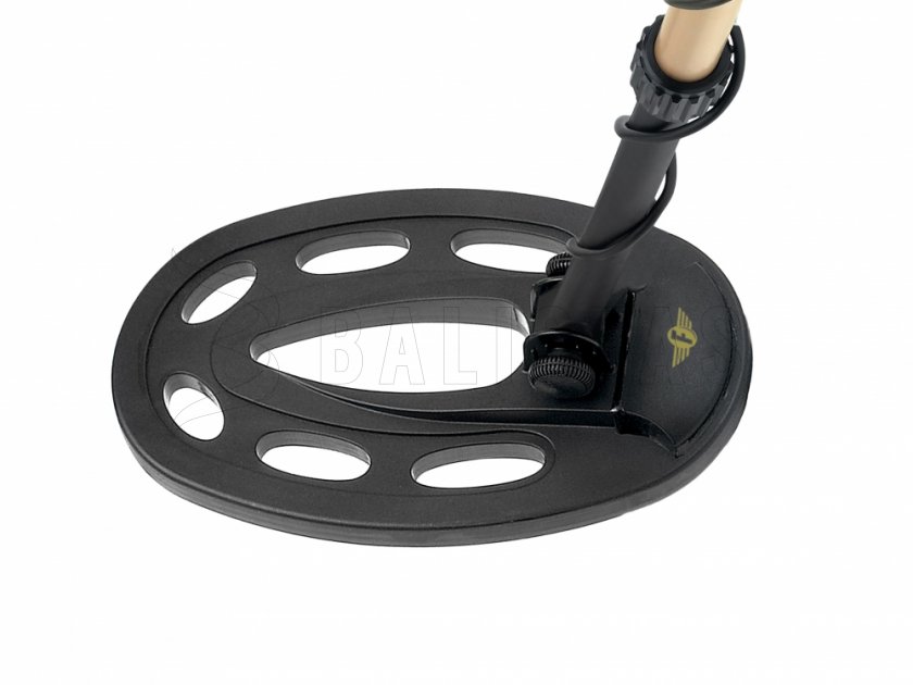 Metalldetektor Fisher F5 10''