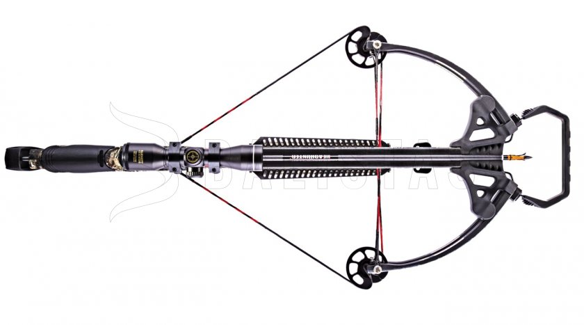 Armbrust Barnett Raptor FX2 150lb