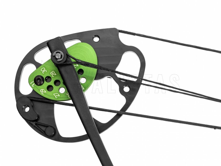 Bogen Poe Lang Predator II schwarz 45-65lbs