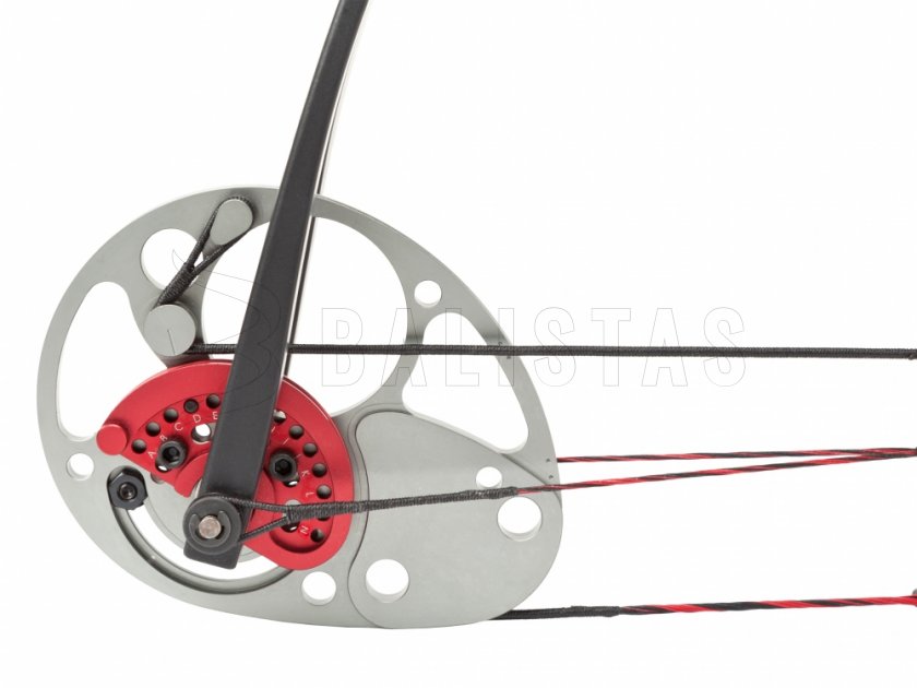 Bogen Poe Lang Assassin 20-70lbs