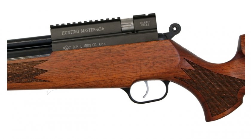 Luftgewehr Evanix Hunting Master AR6 5,5mm