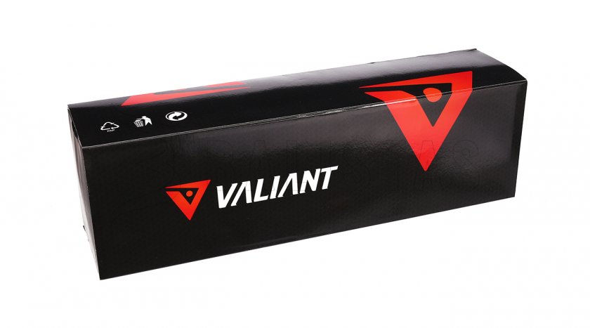 Zielfernrohr Valiant Themys 4-12x40 AO 1/2 Mil-Dot 9