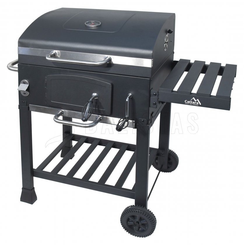 Holzkohlegrill Royal Gussrost
