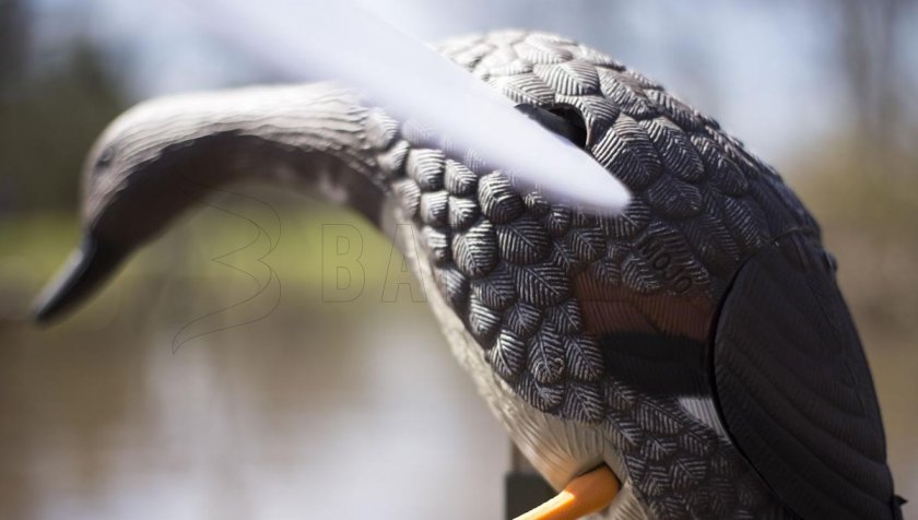 Balabán MOJO Gadwall - Ente Kopřivka
