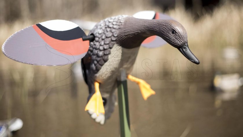Balabán MOJO Gadwall - Ente Kopřivka