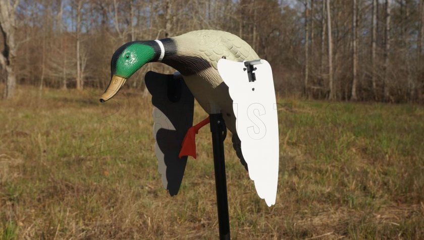 Balabán MOJO Super Mallard – Wildente-Köder