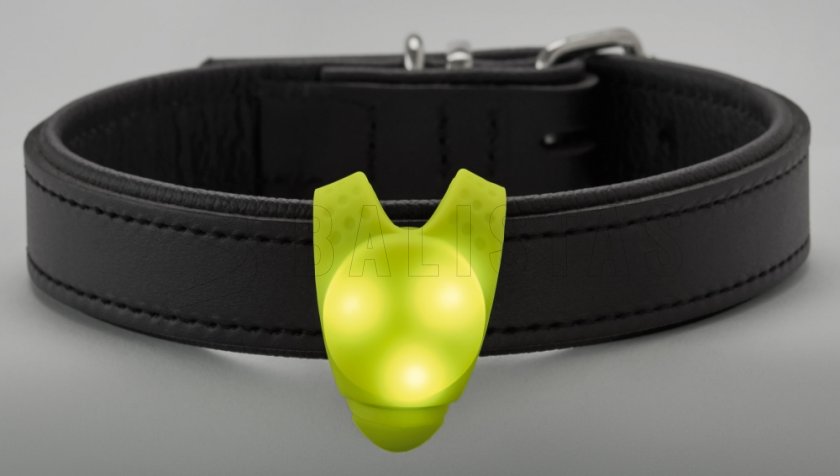 Leuchtender LED-Anhänger für Halsband Hunter