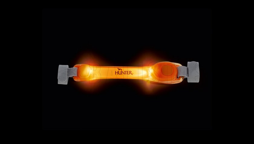 Leuchtender LED-Anhänger für Halsband Hunter orange