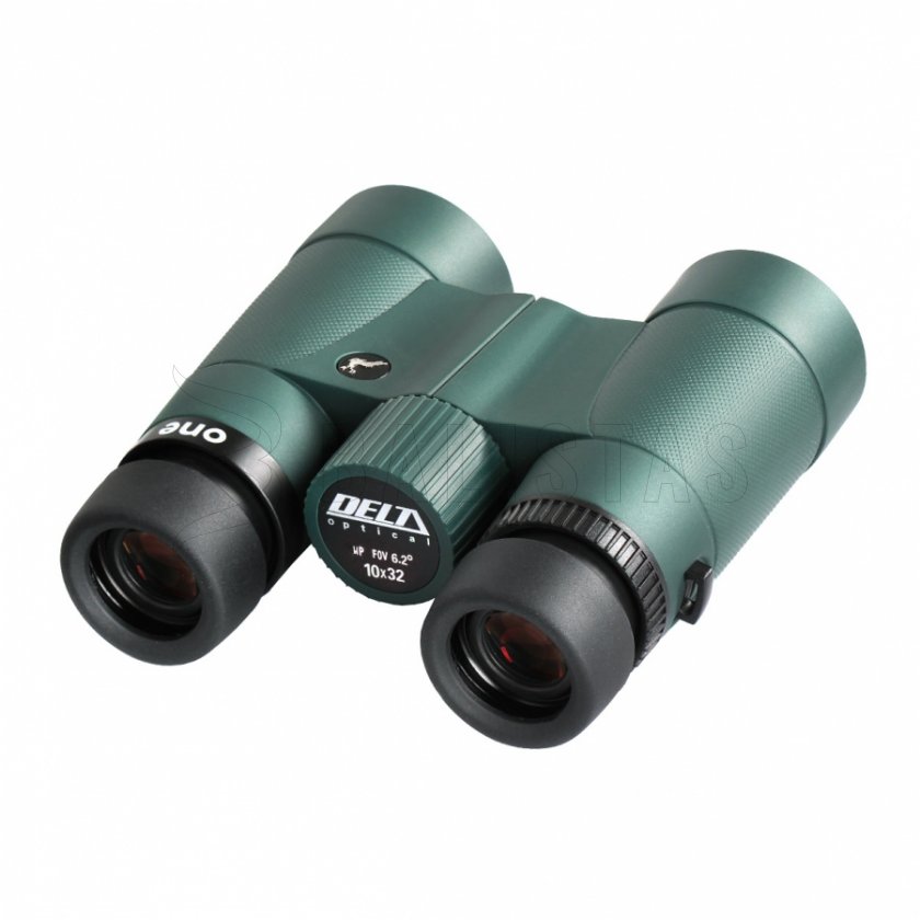 Fernglas Delta Optical One 10x32