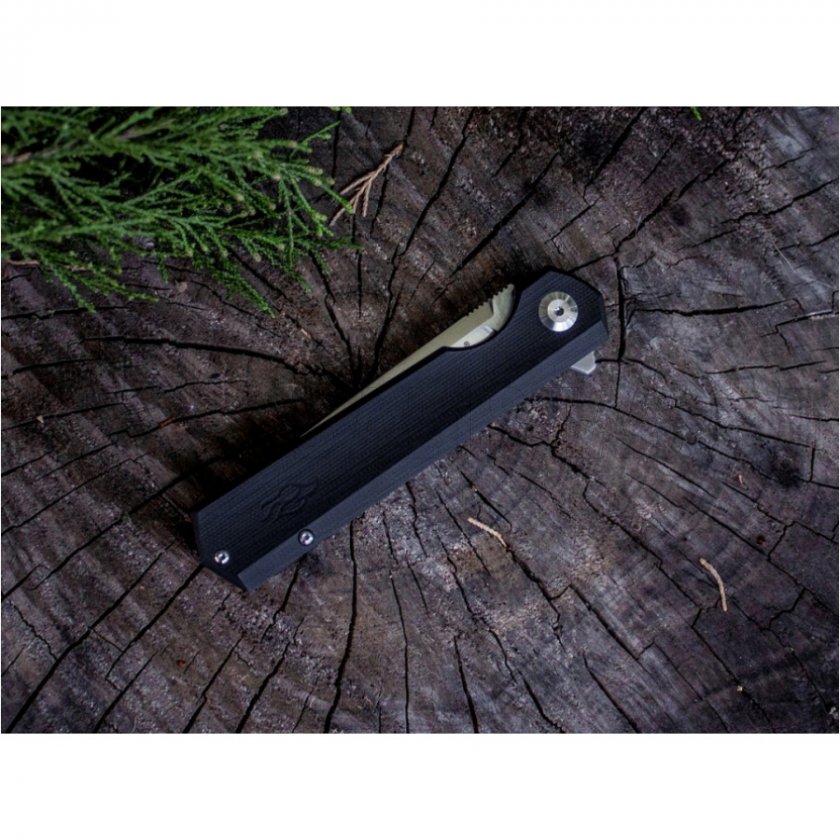 Klappmesser Ganzo Firebird FH11-BK schwarz