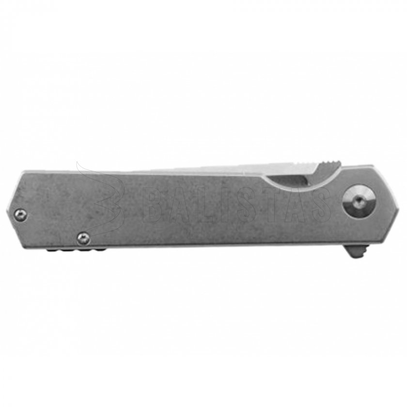 Klappmesser Ganzo Firebird FH12-SS