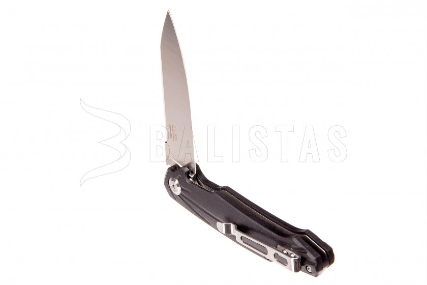 Klappmesser Ganzo Firebird FH21-BK 3