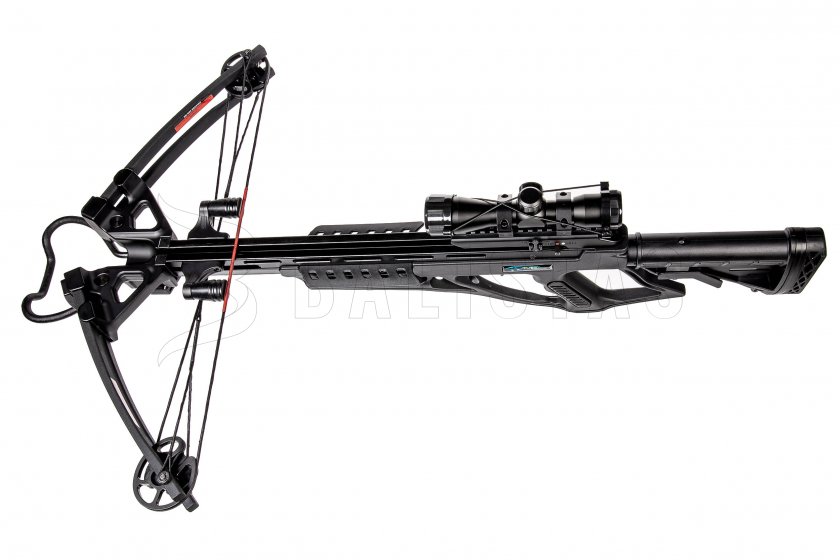 Armbrust Mankung Herkules XB-55 185lb schwarz Kit 10