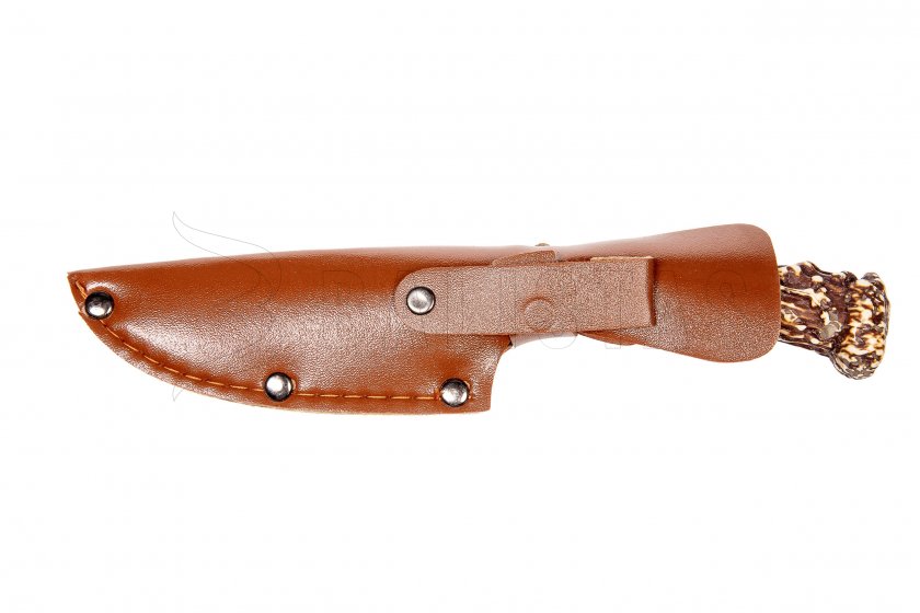 Messer Kandar paroh N14 (14)