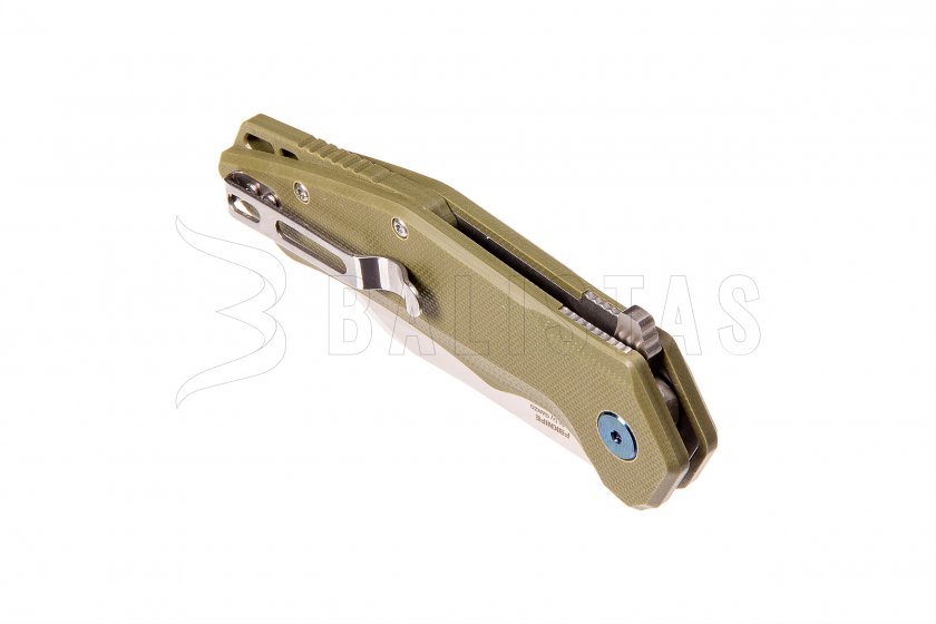 Klappmesser Ganzo Firebird FH31-GB 5