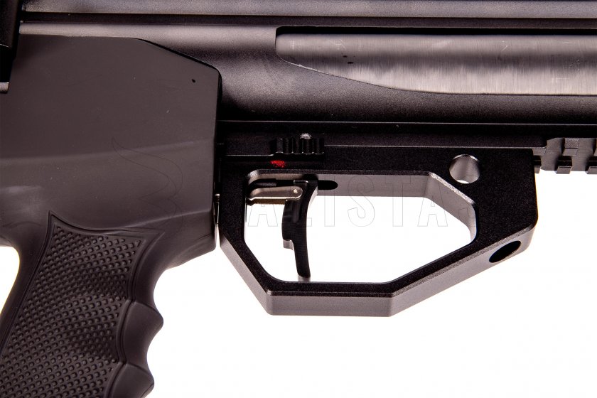 Luftgewehr Evanix Max Air II 5,5mm Carbon S