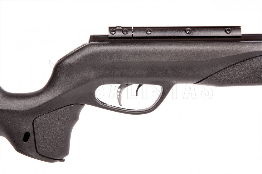 Luftgewehr Gamo Speedster IGT 10x GEN2 4,5mm - 24J