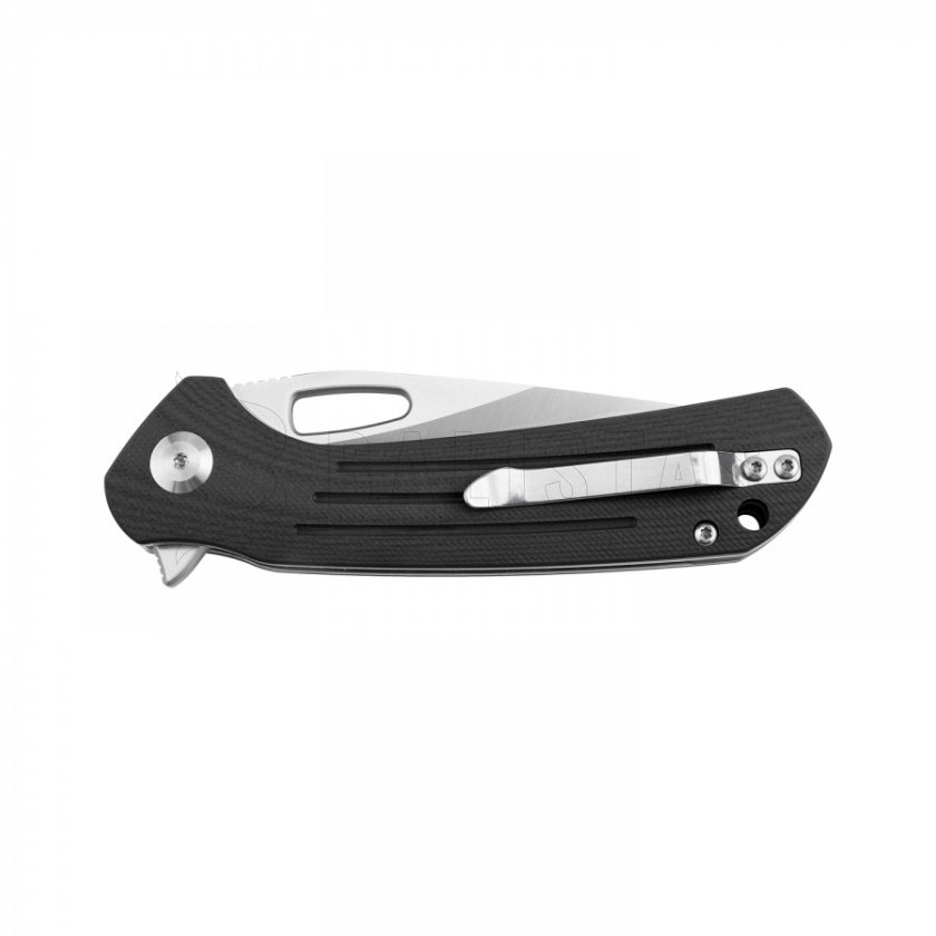 Klappmesser Ganzo Firebird FH921 schwarz