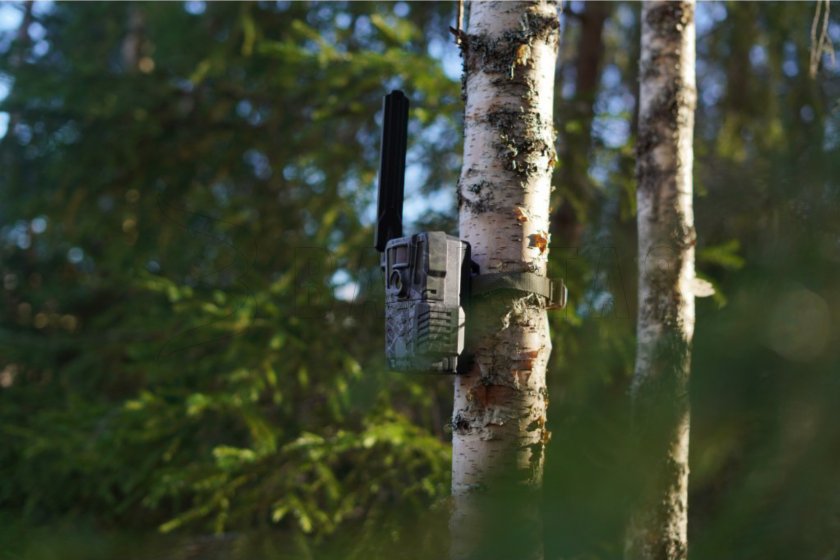 Wildkamera Hikmicro M15 8