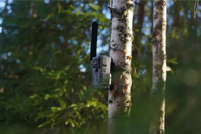 Wildkamera Hikmicro M15