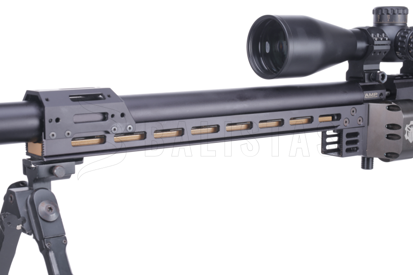 Air-G-Tac Gewicht für Schiene FX Panthera / Dynamic 625g Dark Gold 2