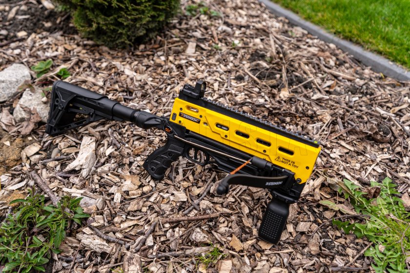 DOM09552.jpg
