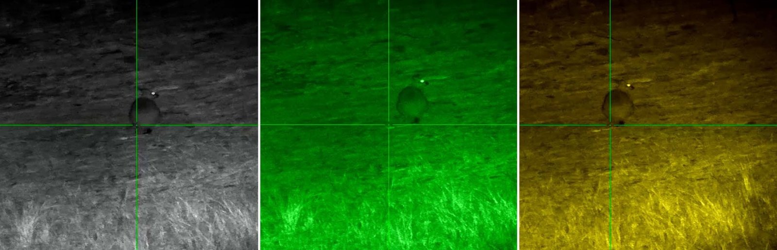 Zielfernrohr mit Nachtsicht PARD Night Stalker MINI Text 4